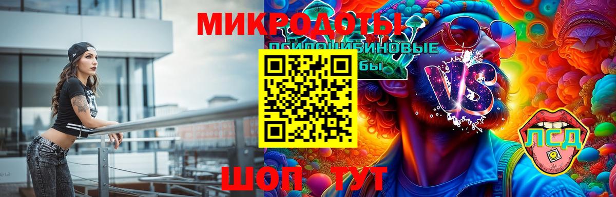 Галлюциногенные грибы Cubensis Великий Новгород